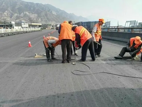 海丰道路桥梁病害治理